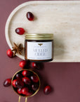 PREORDER: Fall Sample Candle Bundle 6 Pack