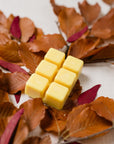 Cozy Autumn Wax Melt
