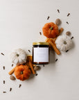Pumpkin Spice Beeswax Candle
